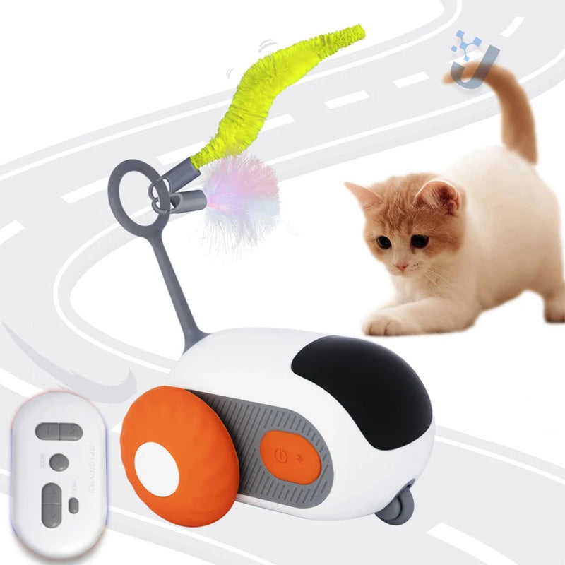 Cat Interactive Toy