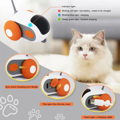 Cat Interactive Toy